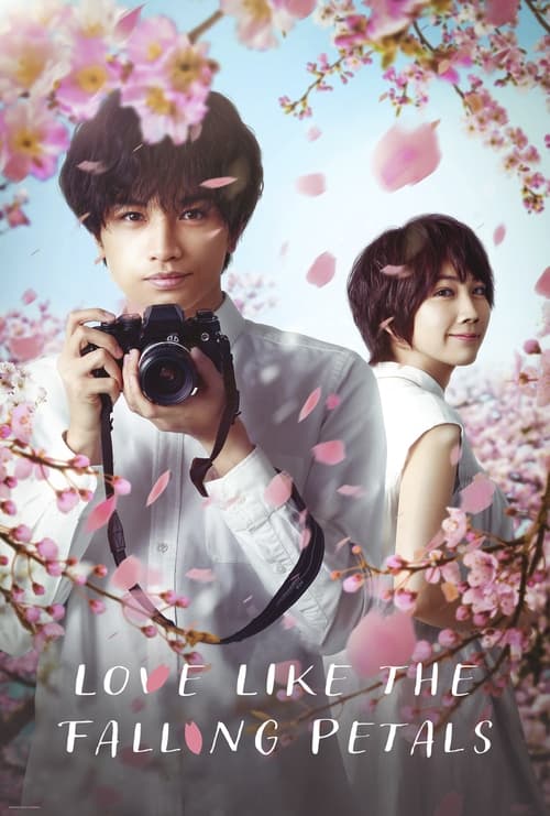 دانلود فیلم Love Like the Falling Petals عاشق شدن مثه افتادن گلبرگ ها