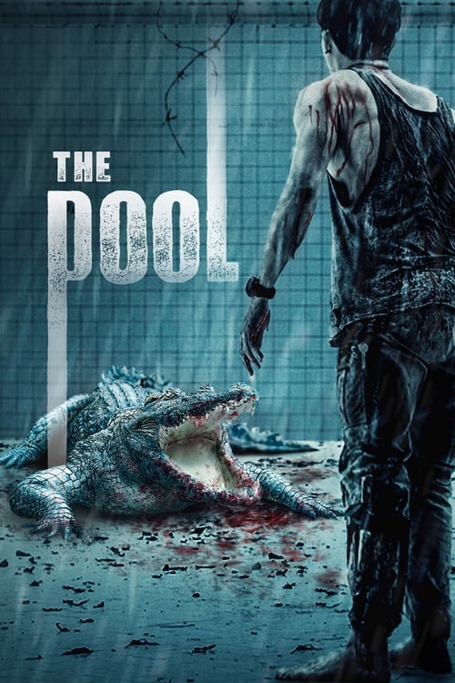 دانلود فیلم The Pool